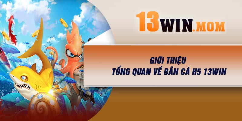 Giới thiệu tổng quan về Bắn Cá H5 13Win